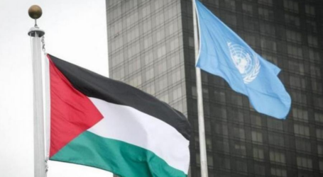 فلسطين تجدد المطالبة بعضوية كاملة في الأمم المتحدة