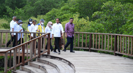 الرئيس جوكو ويدودو يدعو الفرق الإعلامية لمجموعة العشرين للتنزه في حديقة غابات نغوراه راي بالي