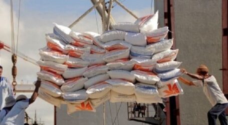 تحتفظ جاوة الوسطى بـ 200 طن من الأرز لمواجهة النينو