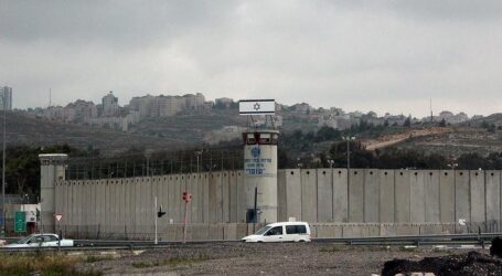 الأسرى بسجون إسرائيل يضربون عن الطعام منتصف سبتمبر