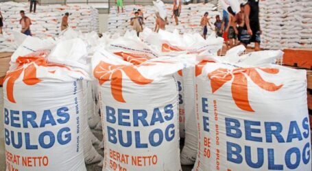 بولوج : 300 ألف طن من الأرز ستصل من تايلاند وباكستان