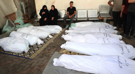 الأمم المتحدة: مقتل 9 آلاف امرأة في غزة
