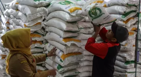 لتأمين احتياطي الأرز الحكومي الوزارة تصدر تصريحًا لاستيراد المزيد من الأرز