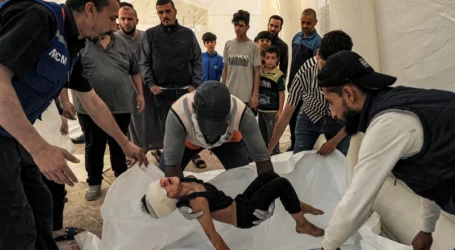 اليونيسف تدعو لوقف قتل الأطفال في فلسطين فورا