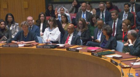وزارة الخارجية : الفيتو الأمريكي على فلسطين في الأمم المتحدة يمثل خيانة للتطلعات العالمية