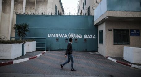 مفوض الأونروا: حرب غزة أدت لتجاهل صارخ للمهمة الأممية
