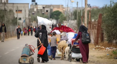الدولية للهجرة : قلقون إزاء “تهجير سكان غزة قسرا” من رفح